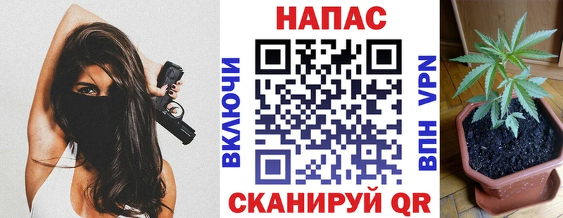 площадка телеграм  Темников  Шишки марихуана планчик  цена  